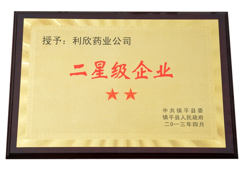 二星級(jí)企業(yè)